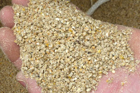 alimentation_poulets-2