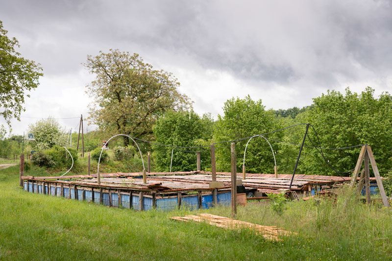Escargotiere_voiroux-12