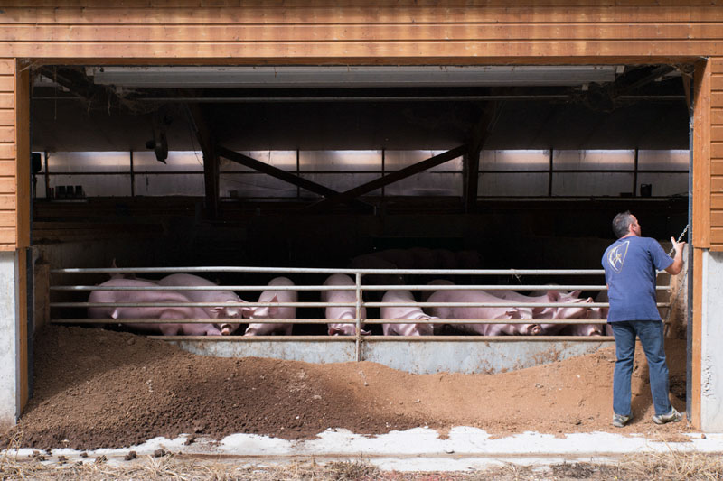 Ferme_Tour-04