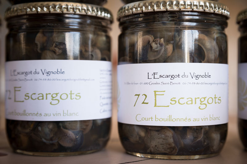04-Escargot_Vignoble