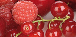 Fruits_rouges