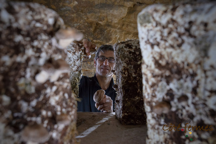 16-Champignons-Olivier_Janot-BCF-Pruniaux-070519