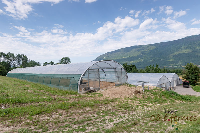 032-Etoile_verte-190619-Pruniaux-BCF-Web