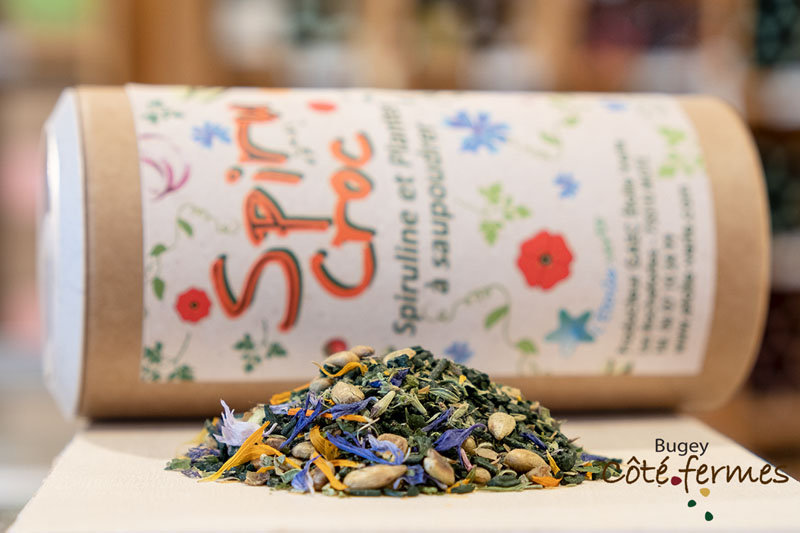 _DSF9787_1 copie