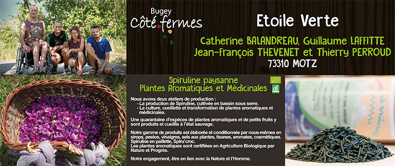 Panneau_420x1000_Etoile Verte