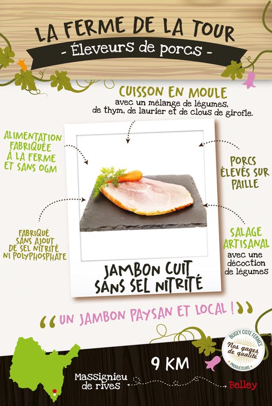 PanoQual800-01
