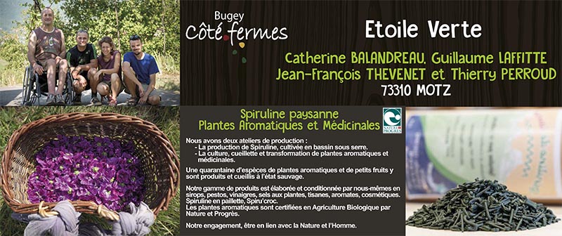 Panneau_420x1000_Etoile Verte