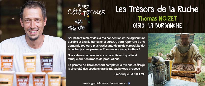 Panneau_420x100_ThomasNoizet