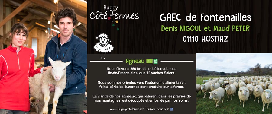 BCF-Panneau_420x1000_Fontenailles