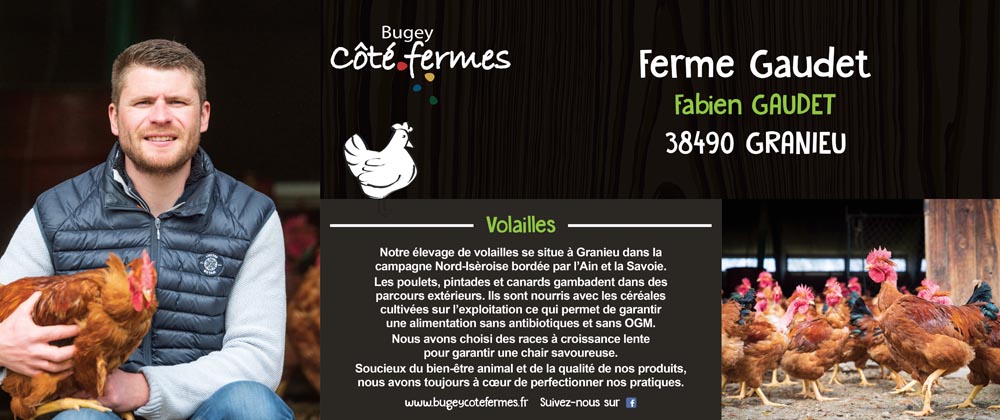 BCF-Panneau_420x1000_Gaudet
