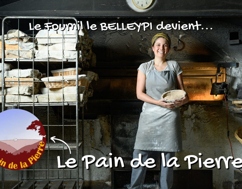 Le Pain de la Pierre Bugey Côté Fermes