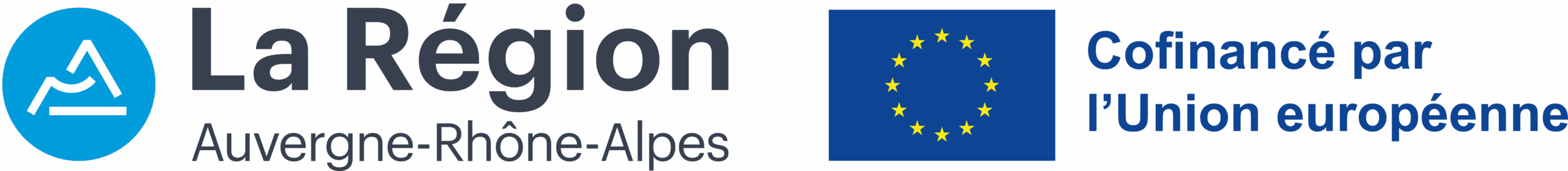 LOGO REGION