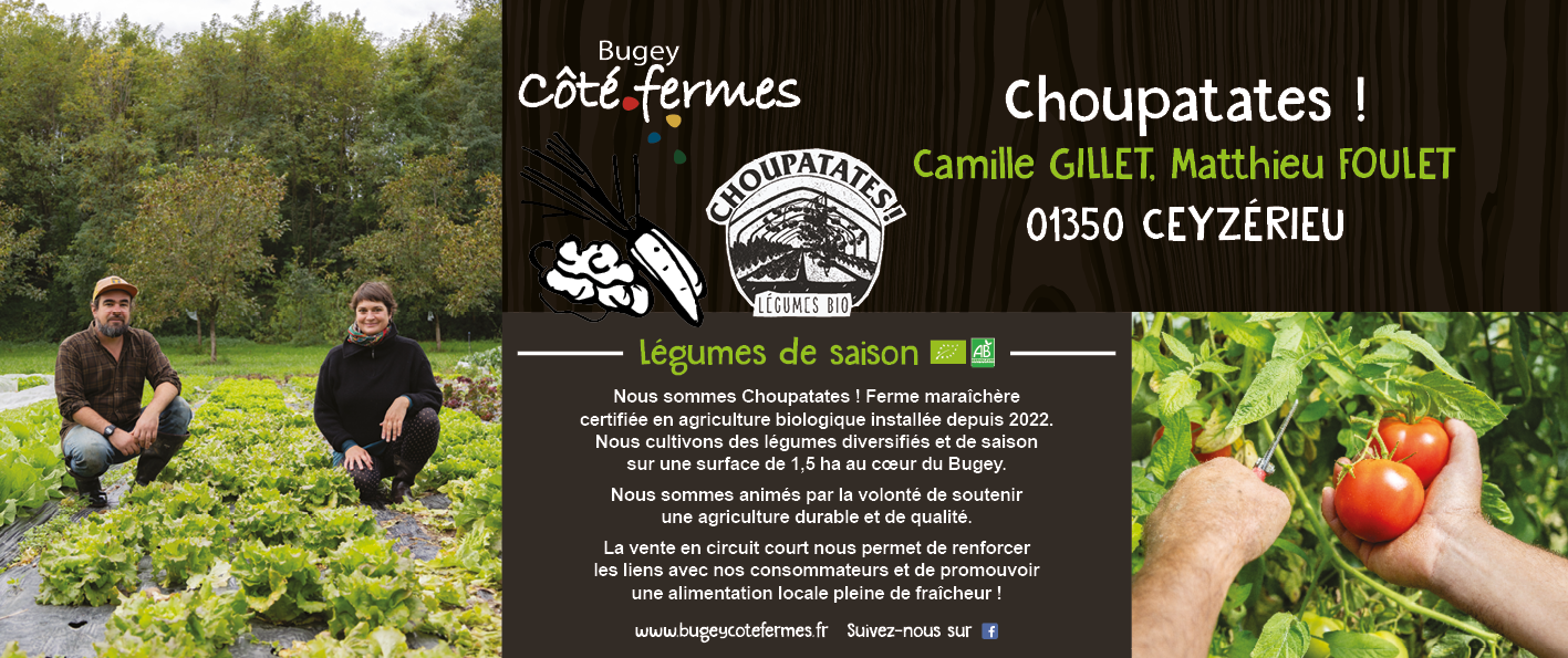 BCF-Panneau_Choupatates_420x1000