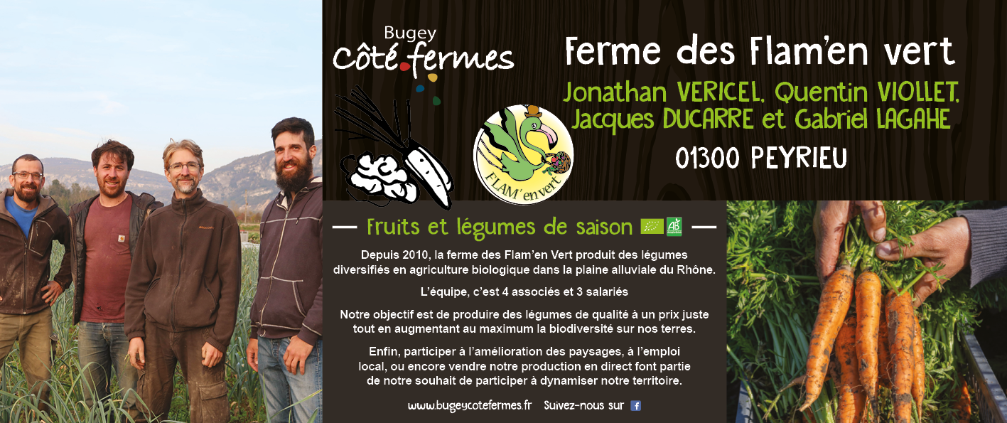 BCF-Panneau_FermeDesFlamenVert_420x1000